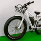 Roadster Bicycle