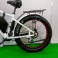 Roadster Bicycle
